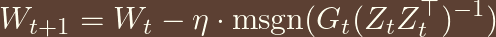 \[W_{t+1} = W_t - \eta \cdot \text{msgn}(G_t(Z_t Z_t^\top)^{-1})\]